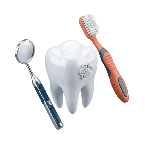 دندانپزشکی و جرم‌گیری
