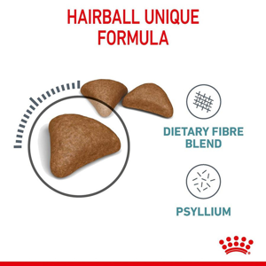 غذای خشک گربه رویال کنین مدل Hairball وزن 10 کیلوگرم