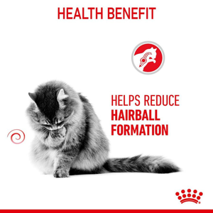 غذای خشک گربه رویال کنین مدل Hairball وزن 10 کیلوگرم