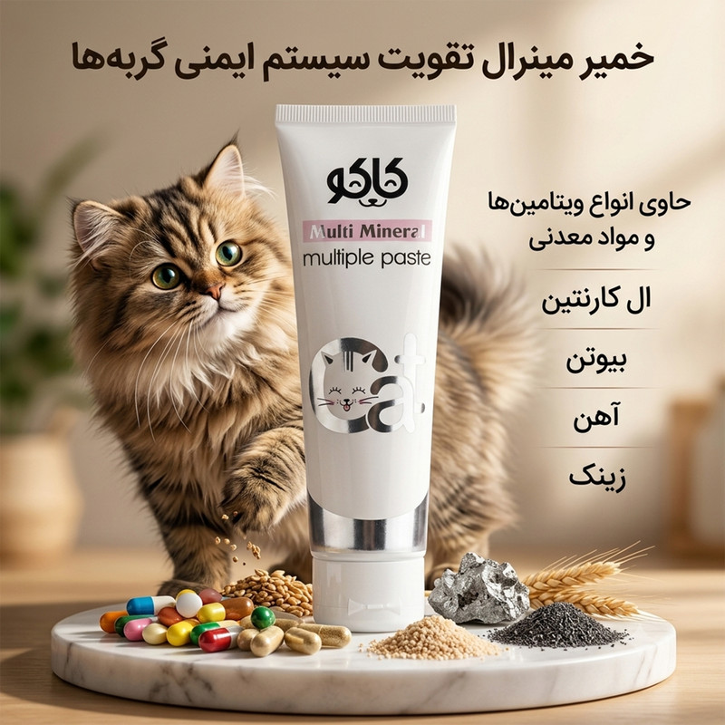 خمیر مولتی مینرال گربه کاکو مدل Multiple Paste وزن 100 گرم