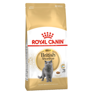 غذای خشک گربه  رویال کنین مدل British Shorthair وزن 400 گرم