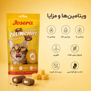 تشویقی گربه جوسرا مدل Crunchies طعم پنیری وزن 60 گرم