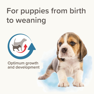 شیر خشک سگ بیفار مدل lactol pupy وزن 250 گرم
