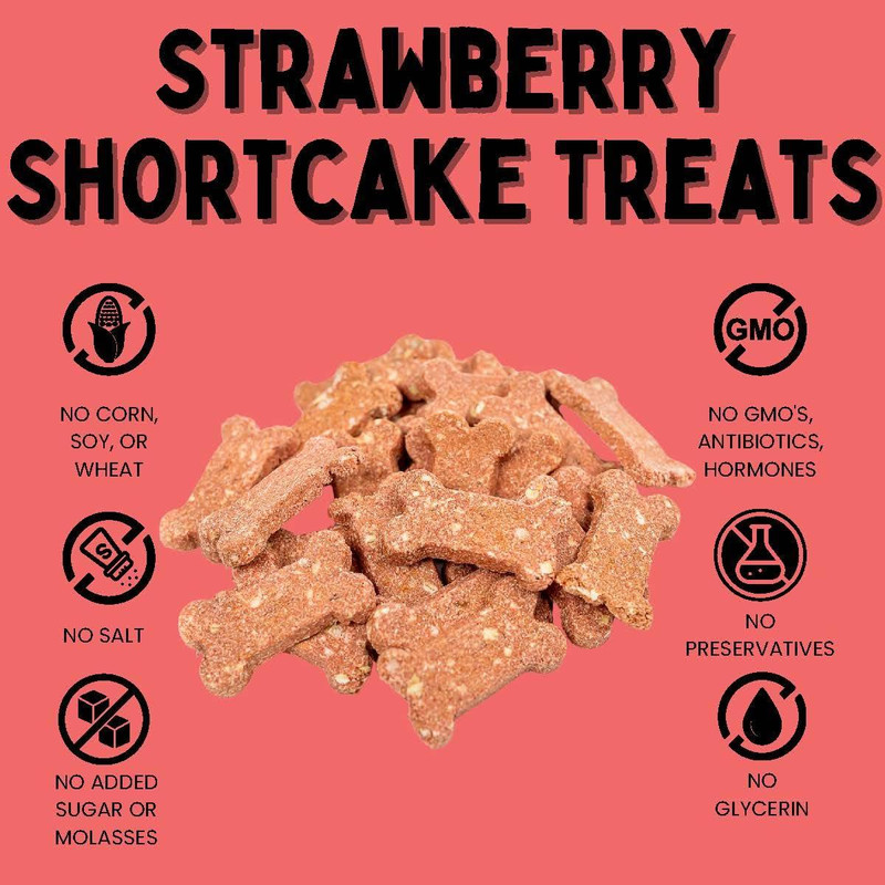 غذای تشویقی سگ تیدبیت مدل Strawbery_Biscuite وزن 160 گرم