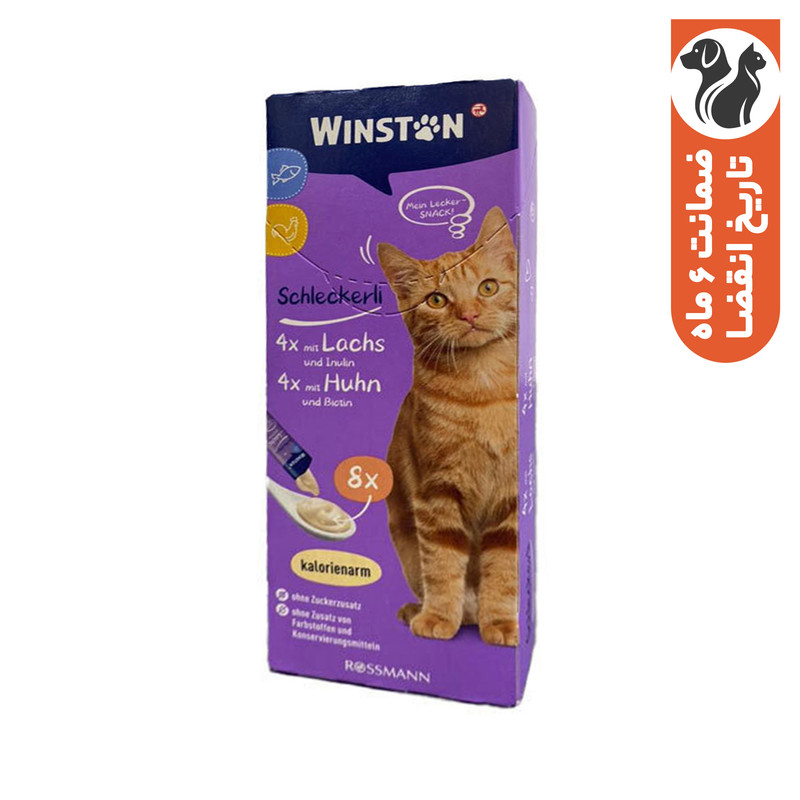 تشویقی گربه وینستون مدل بستنی مرغ و ماهی وزن 120 گرم