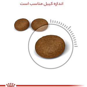 غذای خشک گربه رویال کنین مدل Hair & Skin وزن 4 کیلوگرم