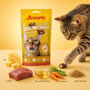 تشویقی گربه جوسرا مدل Crunchies طعم پنیری وزن 60 گرم