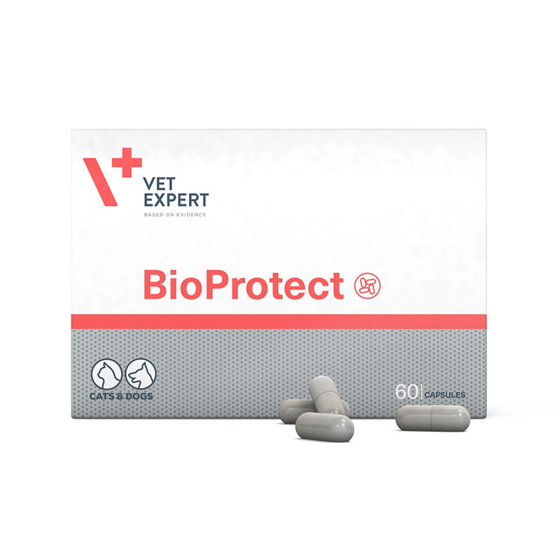 قرص پروبیوتیک سگ و گربه وت اکسپرت مدل BioProtect بسته 60 عددی