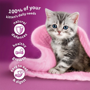 پوچ بچه گربه ویسکاس مدل Kitten Mixed Menu in Jelly با طعم میکس وزن 85 گرم بسته 12 عددی