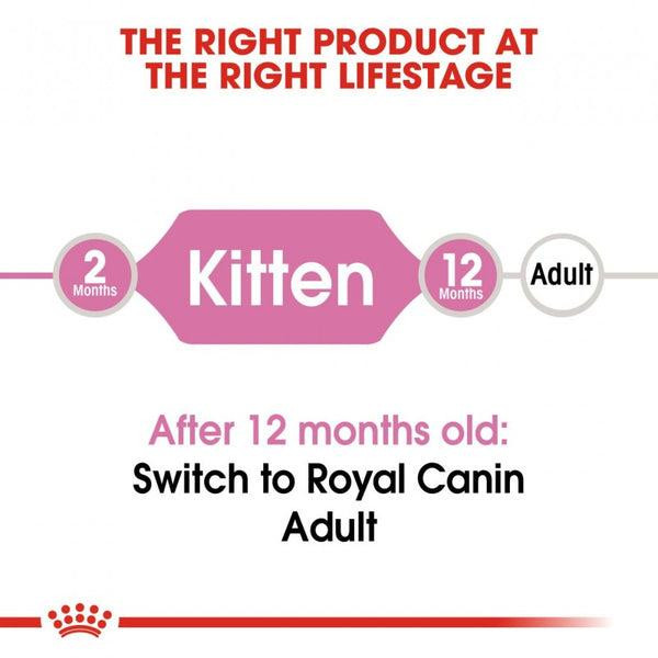 غذای پوچ گربه رویال کنین مدل Digest Sensitive وزن 85 گرم