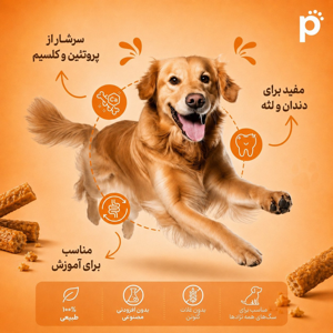 تشویقی سگ اسنکی مدل Chewbone Crispy Munchy طعم مرغ 100 گرم