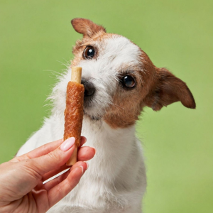 تشویقی سگ اسنکی مدل Chewbone Wrapped Munchy Stick با طعم اردک بسته 10 عددی وزن 120 گرم