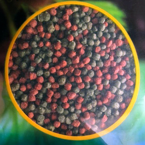 غذای خشک ماهی آسیان استار مدل A وزن 200 گرم