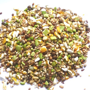 غذای پرندگان مدل مخلوط کفتری وزن 2 کیلوگرم