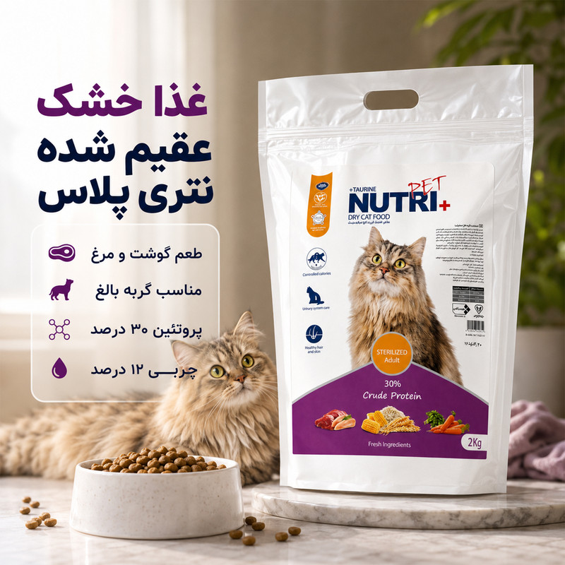 غذای خشک گربه بالغ نوتری پت مدل عقیم شده با طعم گوشت و مرغ وزن 2 کیلوگرم