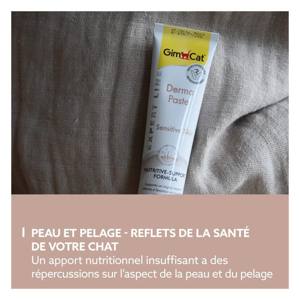 خمیر مالت گربه جیم کت مدل Derma Paste تقویت پوست و مو وزن 50 گرم