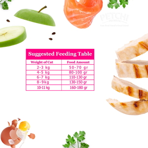 غذا خشک گربه بالغ پتچی مدل مرغ و ماهی وزن 3.7 کیلوگرم