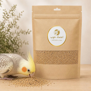 ارزن اعتماد خوب مدل پرنده وزن 900 گرم