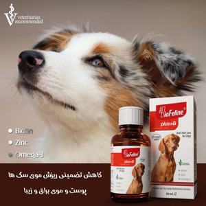 قطره مکمل تقویت پوست و مو سگ بیوفلین مدل Plus B حجم 50 میلی لیتر