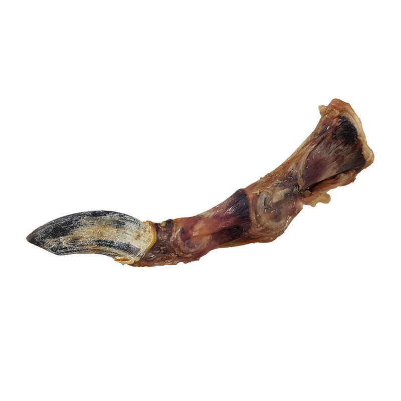 تشویقی سگ هاپومیل مدل پای شترمرغ کد Ostrich Feet L وزن 200 گرم
