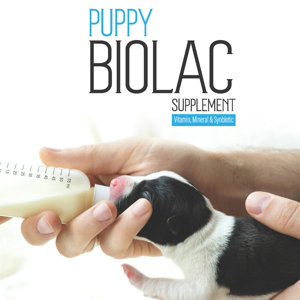 شیر خشک بایو پت مدل Puppy BioLac وزن 400 گرم