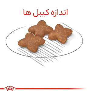 غذای خشک سگ بالغ نژاد کوچک رویال کنین مدل Mini Adult وزن 8 کیلوگرم