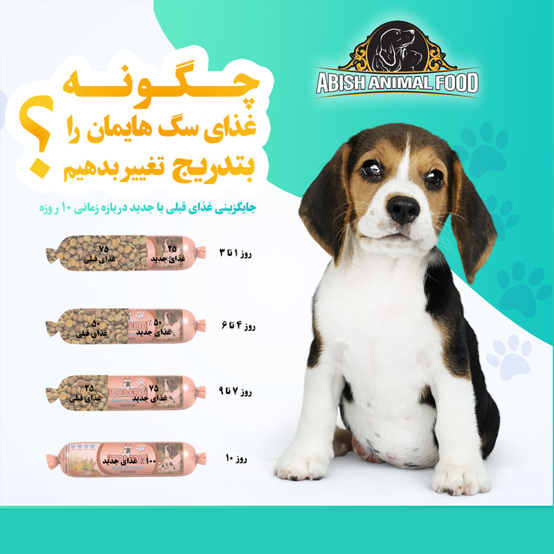 غذای سگ ابیش مدل ژامبون مرغ بالغ وزن 5 کیلوگرم