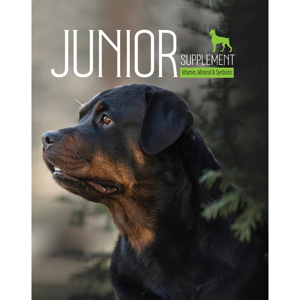 پودر مکمل سگ بالغ و جوان بایو پت مدل Junior وزن 400 گرم