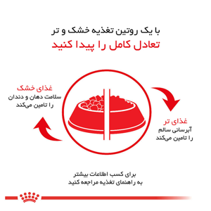غذای خشک سگ رویال کنین مدل Pug Adult وزن 1.5 کیلوگرم