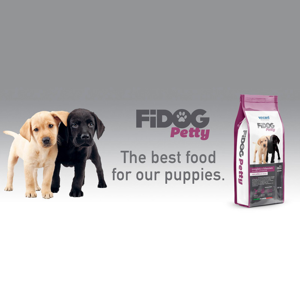 غذای خشک توله سگ وینسنت مدل Fidog - Chicken وزن 4 کیلوگرم