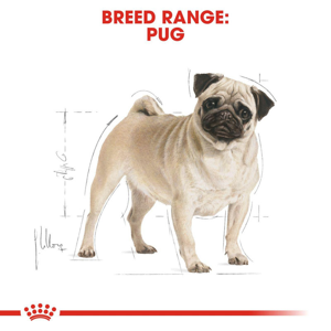 غذای خشک سگ رویال کنین مدل Pug Adult وزن 1.5 کیلوگرم