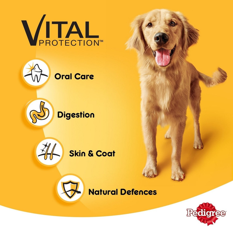 غذای پوچ سگ بالغ پدیگری مدل Vital وزن 100 گرم