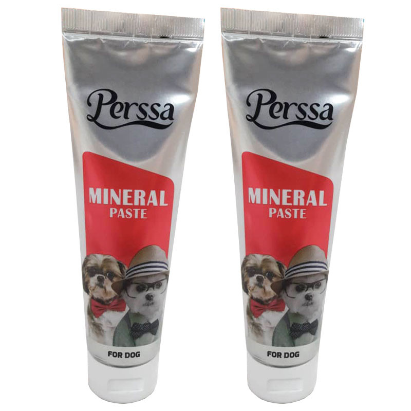 خمیر مینرال سگ پرسا مدل Mineral Paste وزن 100 گرم بسته 2 عددی
