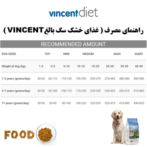 غذای خشک سگ بالغ وینسنت مدل Diet - Lamb وزن 3 کیلوگرم