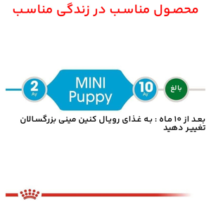 غذای خشک و توله سگ رویال کنین مدل Mini Puppy وزن 2 کیلوگرم مجموعه 3 عددی