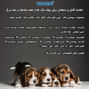 غذای خشک توله سگ وینسنت مدل Fidog - Chicken وزن 4 کیلوگرم