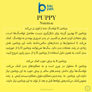 پودر مکمل توله سگ بایو پت مدل Puppy وزن 400 گرم