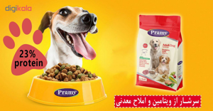 غذای خشک سگ پرامی مدل Adult Dog وزن 10 کیلوگرم