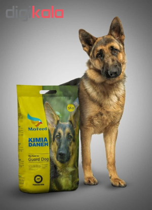 غذای خشک سگ مفید مدل GAURD DOG FOOD PUPPY وزن 5 کیلوگرم