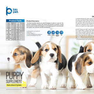 پودر مکمل توله سگ بایو پت مدل Puppy وزن 400 گرم