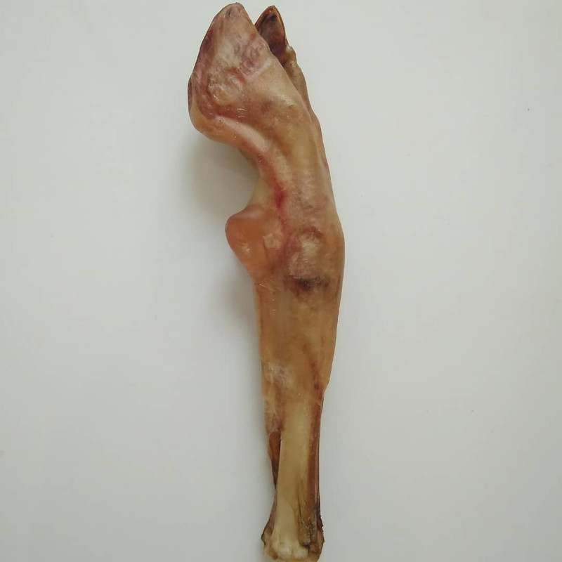 غذای تشویقی سگ جینو مدل Lamb Trotter کد 70 وزن 70 گرم