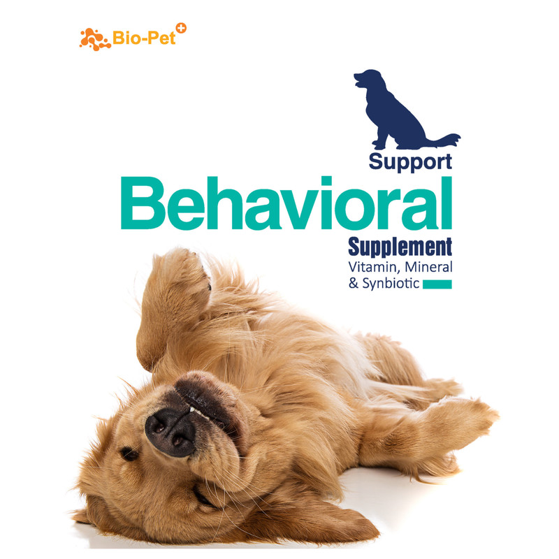 پودر مکمل سگ بایو پت مدل behavioral وزن 500 گرم