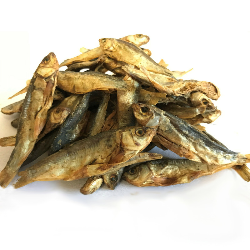 غذای تشویقی سگ انکوپت مدل enco fish وزن 100 گرم