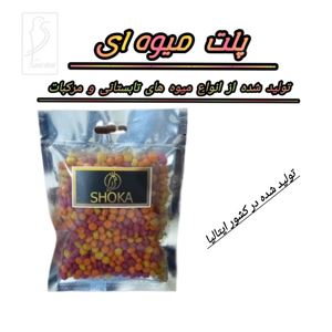 پلت مرکبات پرنده شوکا مدل میوه های تابستانی وزن 40 گرم