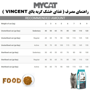 غذای خشک گربه بالغ وینسنت مدل Mycat - Fish وزن 4 کیلوگرم