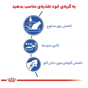 غذای خشک گربه رویال کنین مدل Home Life Indoor وزن 2 کیلوگرم