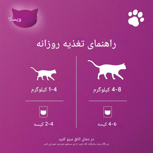 پوچ گربه ویسکاس مدل with chiken in gravy وزن 80 گرم