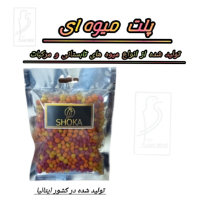 پلت مرکبات پرنده شوکا مدل میوه های تابستانی وزن 40 گرم
