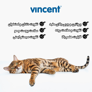 غذای خشک گربه بالغ وینسنت مدل Mycat - Chicken وزن 4 کیلوگرم