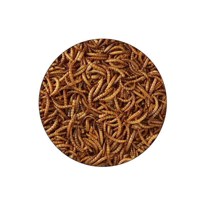تشویقی مرغ مینا شهرپت مدل Mealworm وزن 100 گرم
